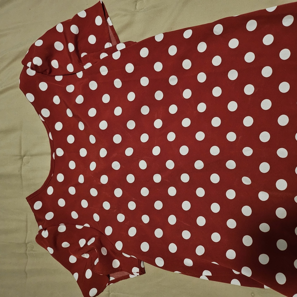 SHEIN Red Polka Dot Blouse